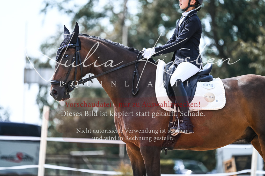 DSC_5747 | Pferde- und Turnierfotografie in Westsachsen. Pferdeportraits, Auftragszeichnungen und intuitive Kunst.