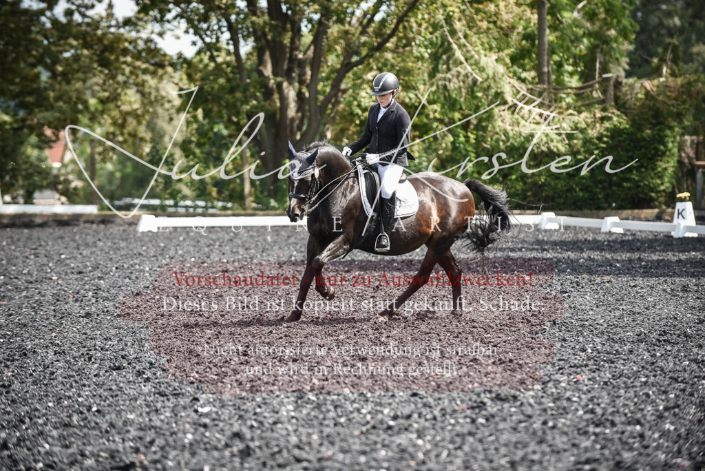 DSC_5118 | Pferde- und Turnierfotografie in Westsachsen. Pferdeportraits, Auftragszeichnungen und intuitive Kunst.