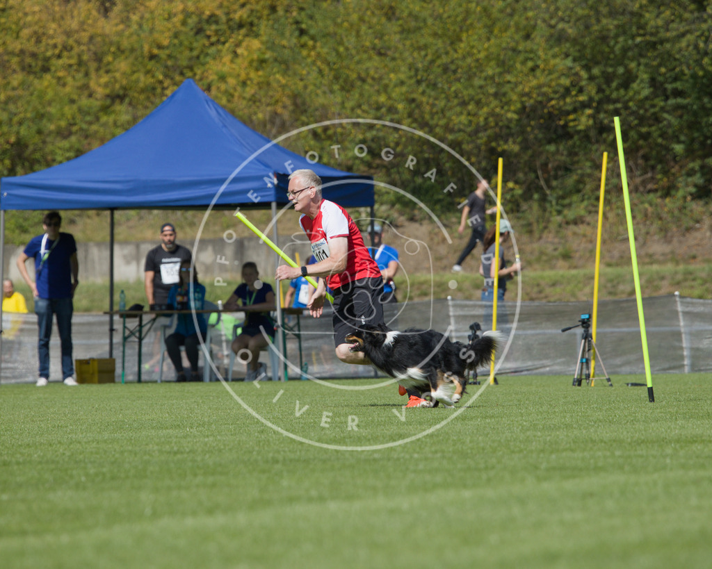 0L8A2586 | Hundefotografie, Tierfotograf, Pfotenfotografie, Fotoshooting Hund, Hunde Portrait, Hundesport, Hundeportraits, Heideshooting, Hunde, Sportfotograf, Hundefotograf, Turnierhundsport, THS,  - Realisiert mit Pictrs.com