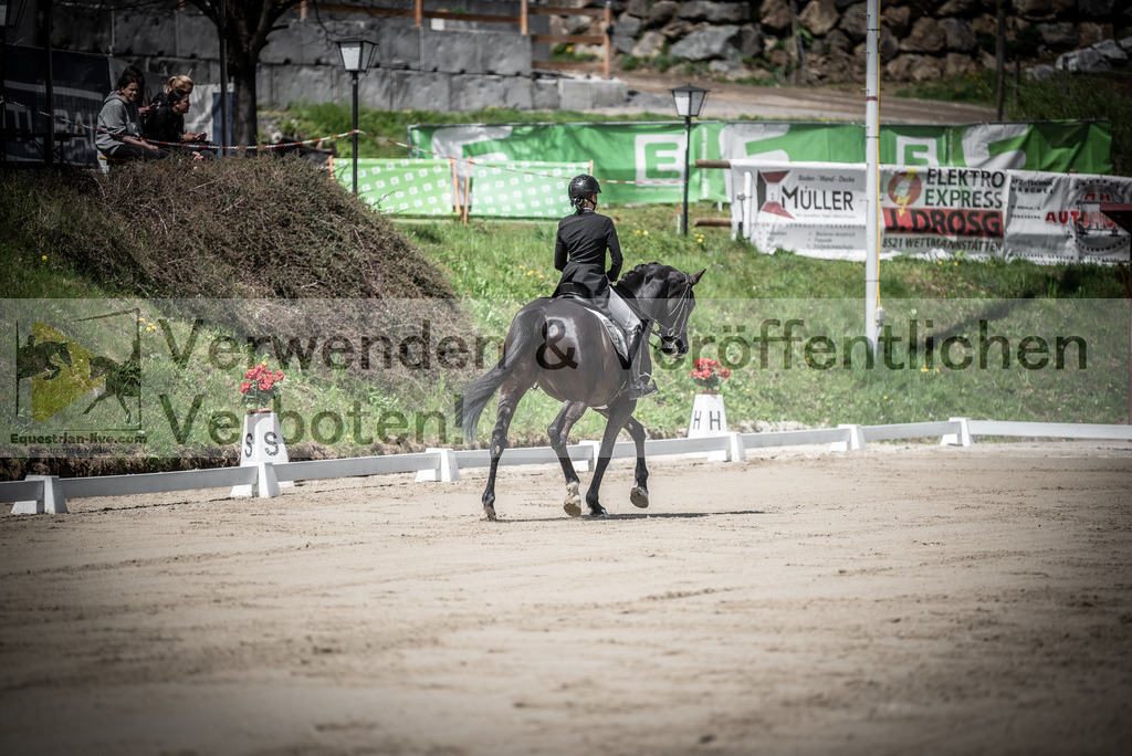 DSC_1666 | equestrian-live-com