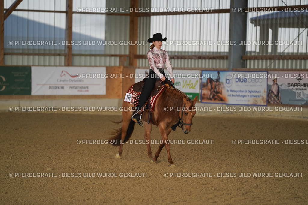 DSC08439 | Pferdegrafie