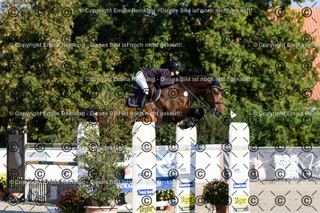 CL5A6911 | Emilia Reinking Fotografie - Realisiert mit Pictrs.com