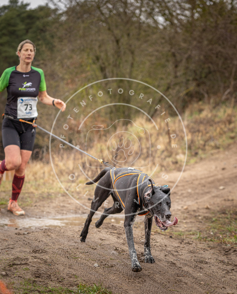 DV3A0247 | Hundefotografie, Tierfotograf, Pfotenfotografie, Fotoshooting Hund, Hunde Portrait, Hundesport, Hundeportraits, Heideshooting, Hunde, Sportfotograf, Hundefotograf, Turnierhundsport, THS,  - Realisiert mit Pictrs.com