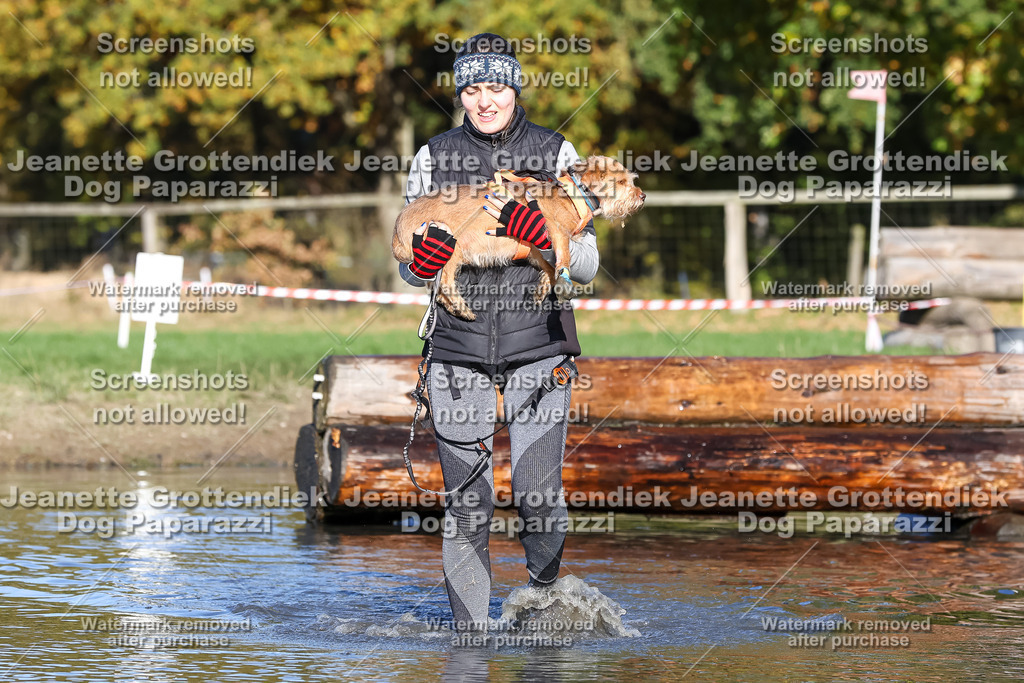 Dog Paparazzi - Strongdog 10-25-8890 | Dog Paparazzi Jeanette Grottendiek Fotografie & Videografie - Realisiert mit Pictrs.com