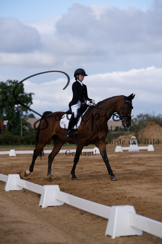 A7V05117 | Pferdefotograf