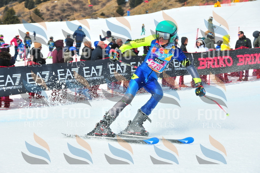 DSC_6305 | holidayphoto