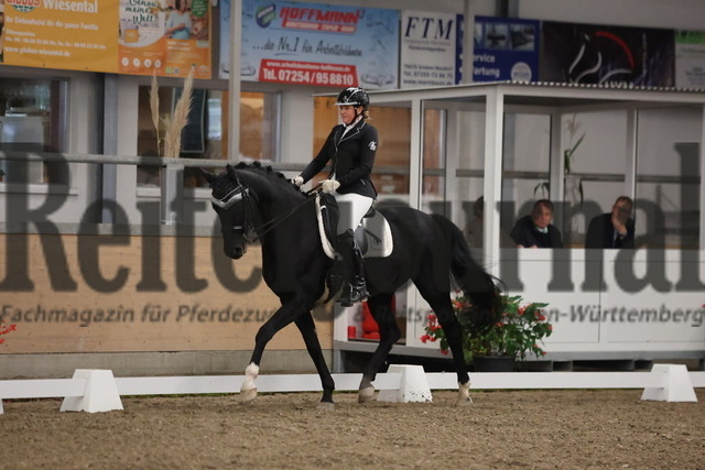 Waghäusel-Wiesental_2024_Prfg.Nr.08_1.WP_U25_Sandrine Lieb_Dark Diamond 75 (4) | Alle Fotos der Reiterjournal Fotografin Doris Matthaes im Reiterjournal Online-Fotoshop. - Realisiert mit Pictrs.com
