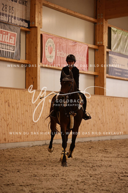 1J2A3736Fiby Sosna_ D_Amour du Foret Z_ Kn197_ Hohen Wieschendorf_ Glantz | Foto- und Videografie für alles rund ums Pferd. Hochwertige Bilder und Videos vom Spring- und Dressurreiten, Voltigieren & mehr. Jetzt aktuelle Veranstaltungen und Preise im Shop ansehen. - Realisiert mit Pictrs.com