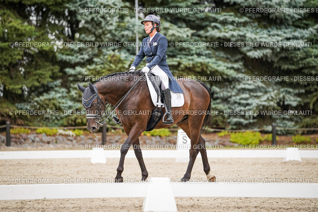 DSC07411 | Pferdegrafie