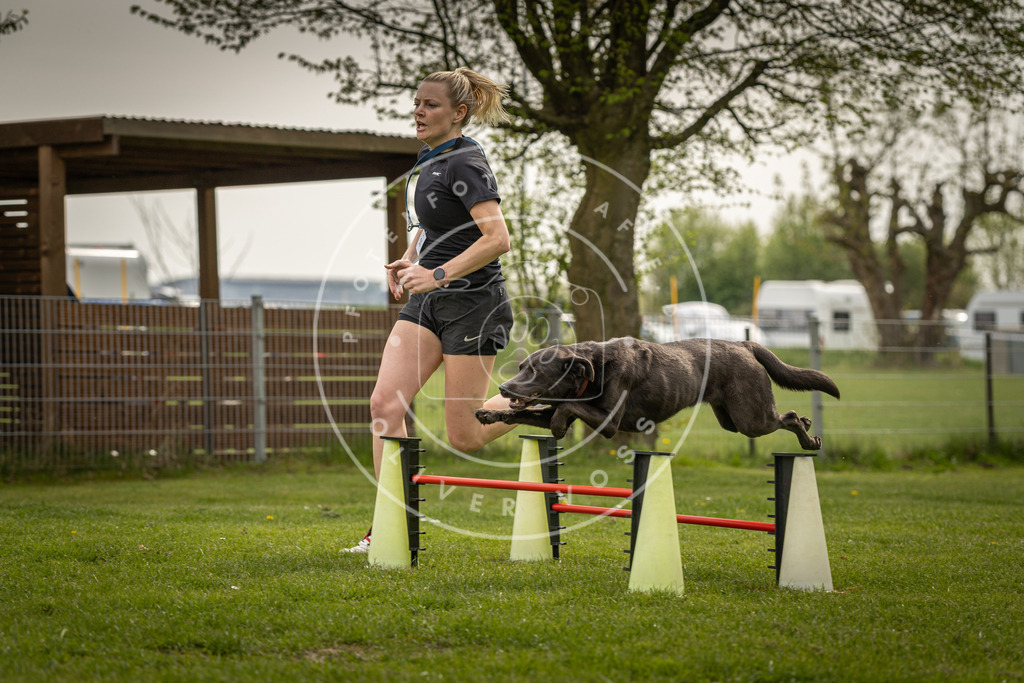 Pfotenfotografie_DV3A6791 | Hundefotografie, Tierfotograf, Pfotenfotografie, Fotoshooting Hund, Hunde Portrait, Hundesport, Hundeportraits, Heideshooting, Hunde, Sportfotograf, Hundefotograf, Turnierhundsport, THS,  - Realisiert mit Pictrs.com