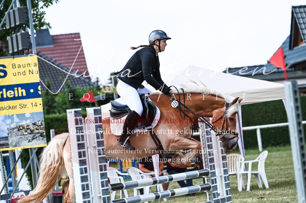 DSC_8751 | Pferde- und Turnierfotografie in Westsachsen. Pferdeportraits, Auftragszeichnungen und intuitive Kunst.