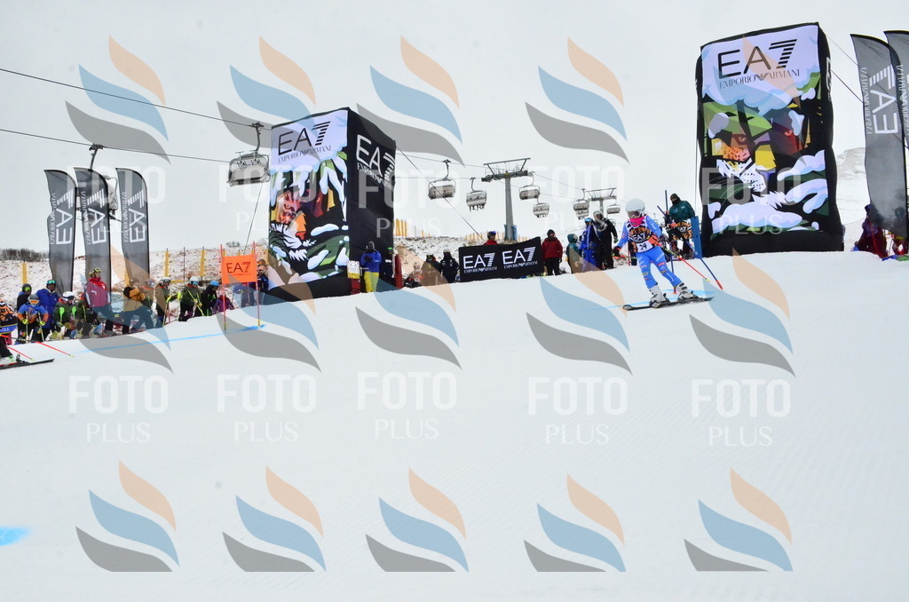 _ELE3296 | holidayphoto