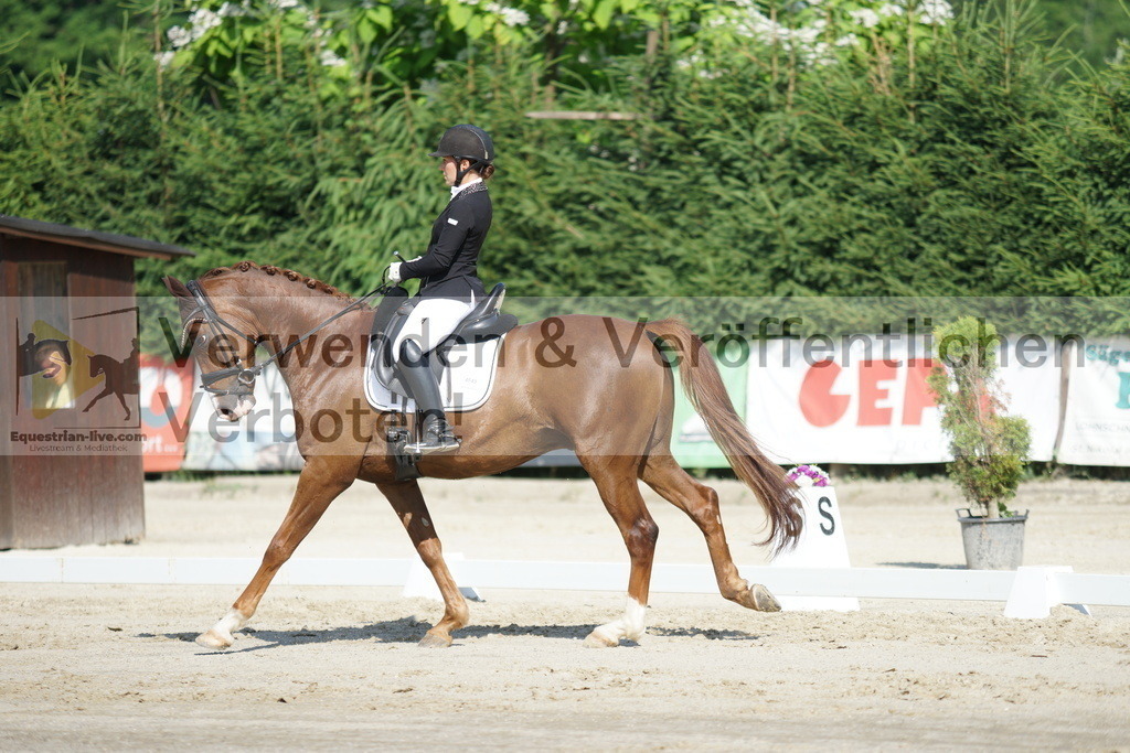 DSC04524 | equestrian-live-com
