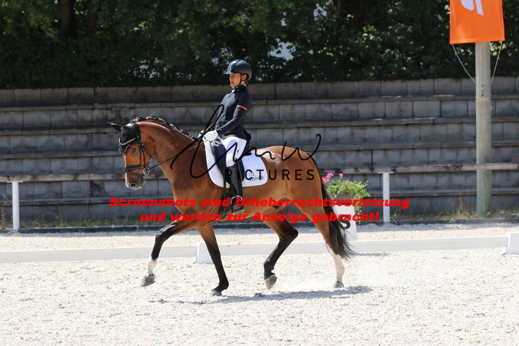 IMG_5018 | lmwpictures - Realisiert mit Pictrs.com