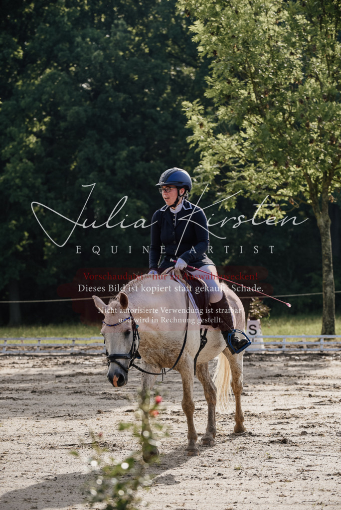 DSC_8075 | Pferde- und Turnierfotografie in Westsachsen. Pferdeportraits, Auftragszeichnungen und intuitive Kunst.