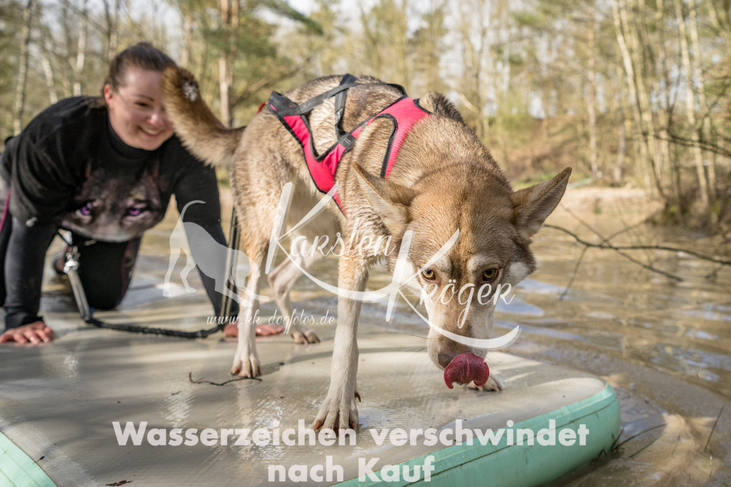 1005_ZZ92458 | kk-dogfotos