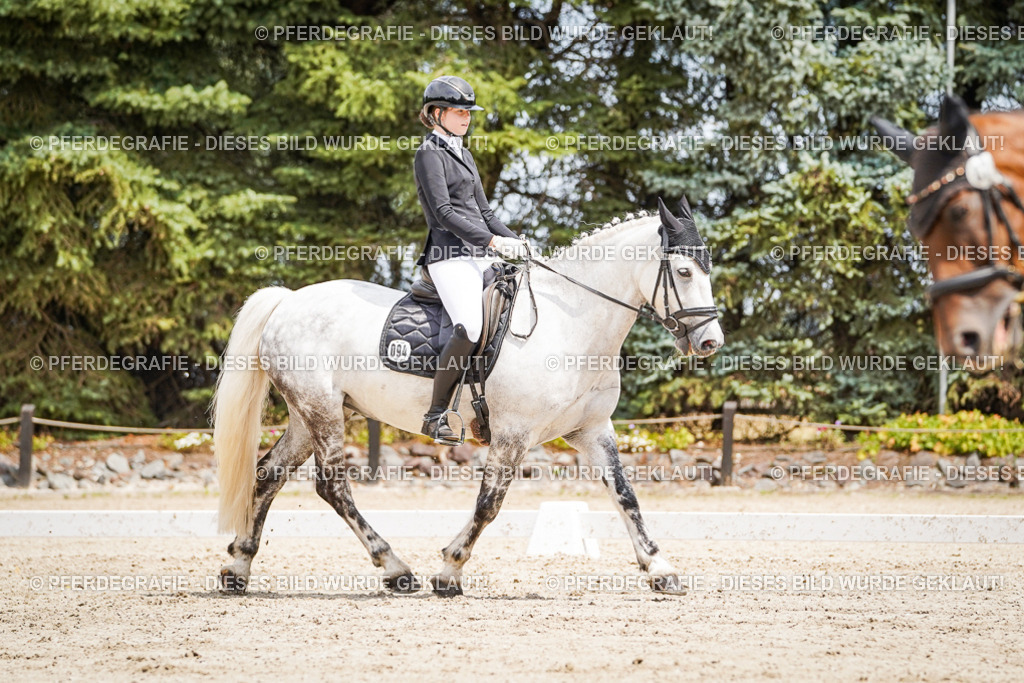 DSC03462 | Pferdegrafie