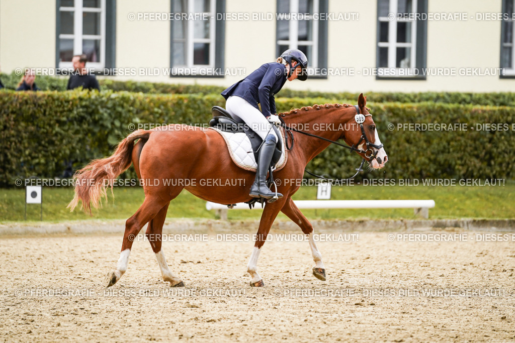 DSC09007 | Pferdegrafie