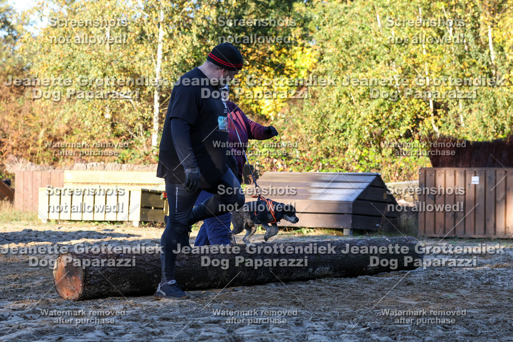 Dog Paparazzi - Strongdog 10-25-759 | Dog Paparazzi Jeanette Grottendiek Fotografie & Videografie - Realisiert mit Pictrs.com