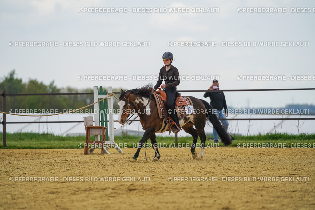 DSC06482 | Pferdegrafie