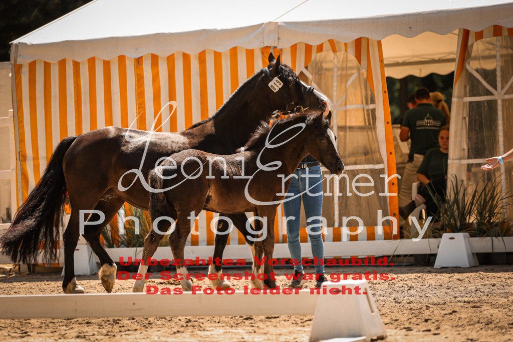 04.DoWP00077 | Leoni Ertmer Photography - Realisiert mit Pictrs.com