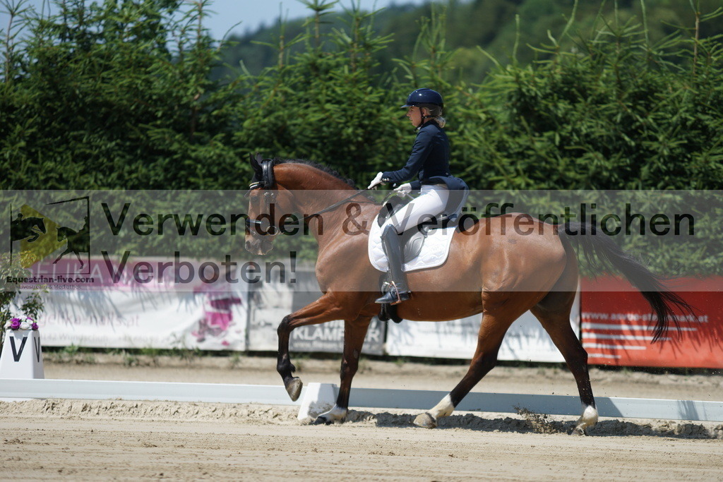 DSC03457 | equestrian-live-com