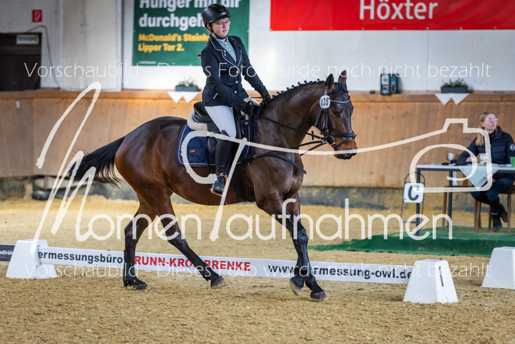 _M2A1875 | MomenTaufnahmen Pferdesportfotos