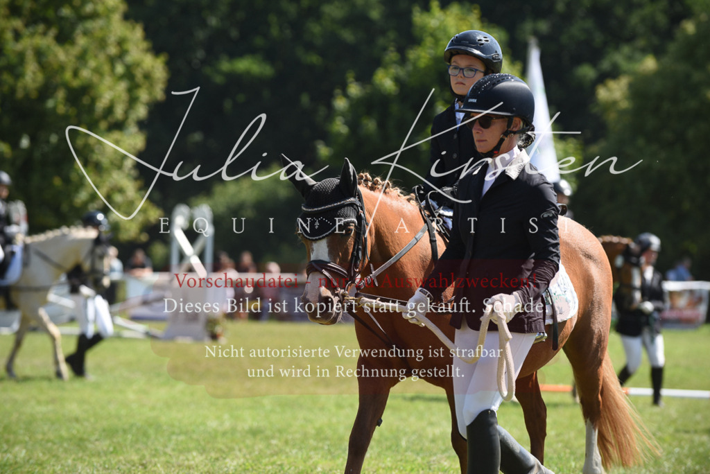 DSC_9726 | Pferde- und Turnierfotografie in Westsachsen. Pferdeportraits, Auftragszeichnungen und intuitive Kunst.