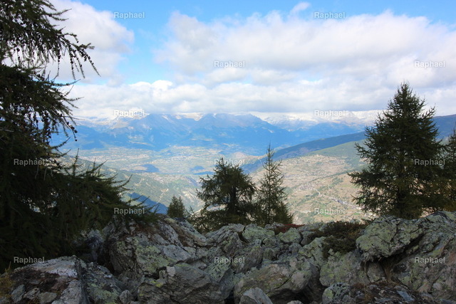 IMG_3547 | Raphael - Realisiert mit Pictrs.com