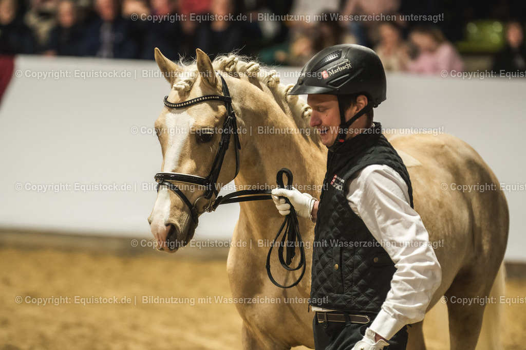 20240302_Hengstvorstellung_Marbach_TOMsPiC_0810 | equistock