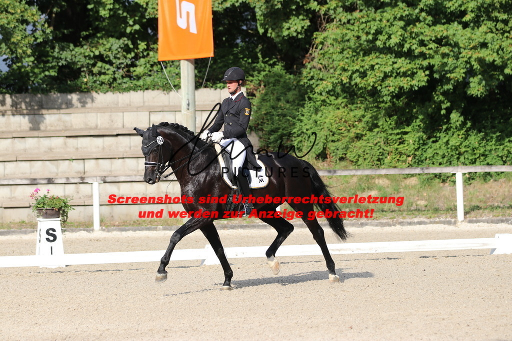 IMG_6319 | lmwpictures - Realisiert mit Pictrs.com