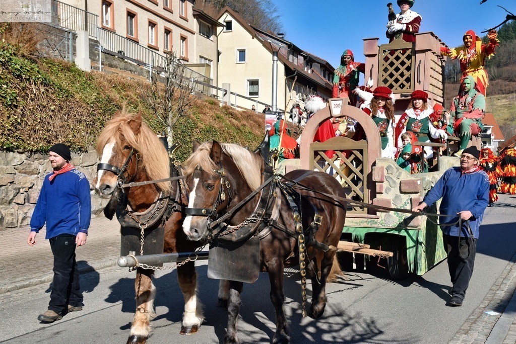 FaMoUmzug-007-RA | Fotoblog Schwarzwald, Foto Blog Wiesental, Pfaffenberg, Winterzauber, Zeller Bergland, Zell im Wiesental, Fotoblog Wiesental, Landschaftsfotos, Bilder Wiesental, Natur, Naturbilder, Fastnacht, Zeller Fastnacht, Zeller Fasnacht, Zeller Bergland, Belchen, - Realisiert mit Pictrs.com