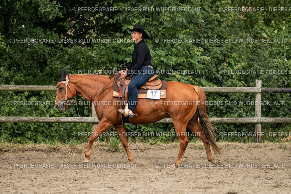 DSC03103 | Pferdegrafie