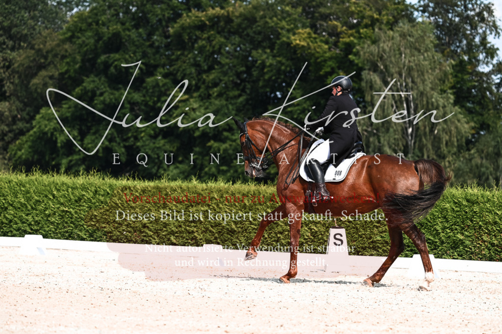 DSC_3278 | Pferde- und Turnierfotografie in Westsachsen. Pferdeportraits, Auftragszeichnungen und intuitive Kunst.
