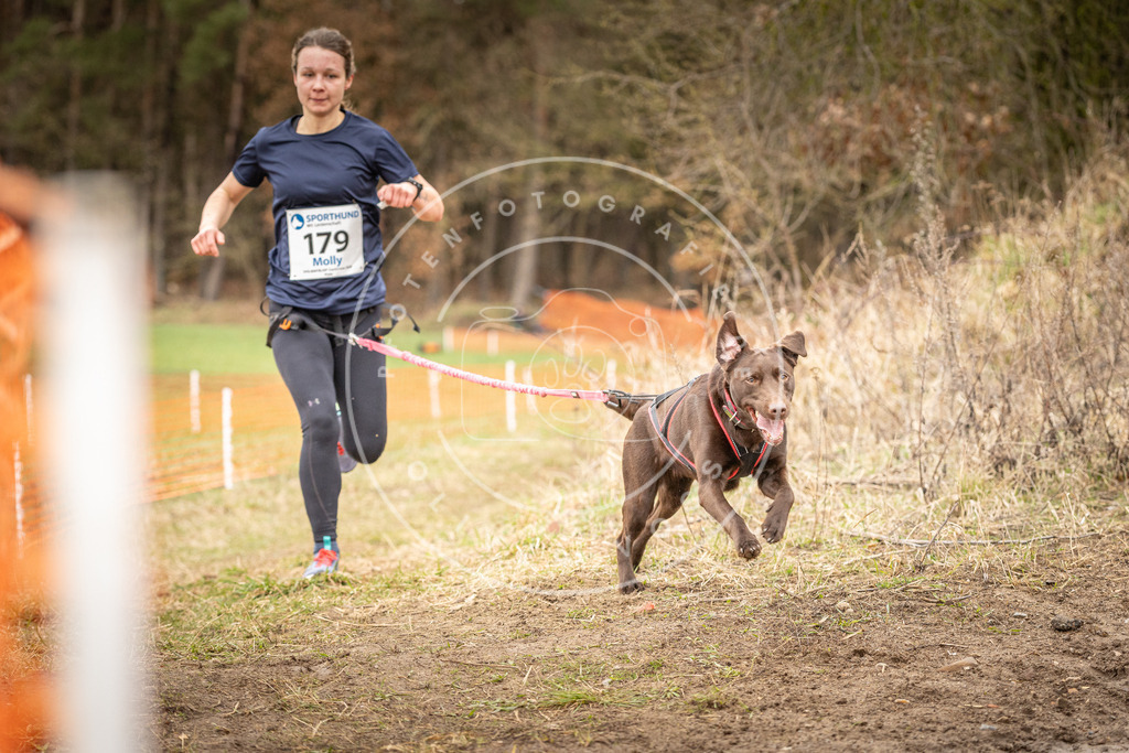 DV3A2488 | Hundefotografie, Tierfotograf, Pfotenfotografie, Fotoshooting Hund, Hunde Portrait, Hundesport, Hundeportraits, Heideshooting, Hunde, Sportfotograf, Hundefotograf, Turnierhundsport, THS,  - Realisiert mit Pictrs.com