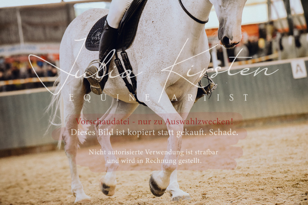 DSC_6972 | Pferde- und Turnierfotografie in Westsachsen. Pferdeportraits, Auftragszeichnungen und intuitive Kunst.