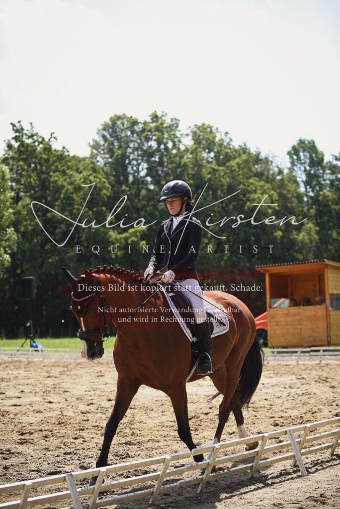 DSC_0898 | Pferde- und Turnierfotografie in Westsachsen. Pferdeportraits, Auftragszeichnungen und intuitive Kunst.