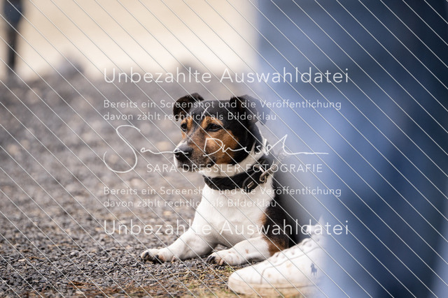SD_OES26_07442 | saradresslerfotografie - Realisiert mit Pictrs.com