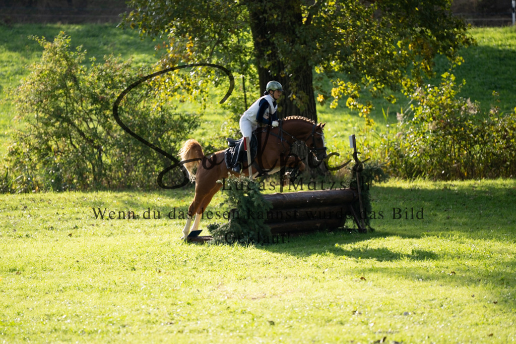 A7V03101 | Pferdefotograf