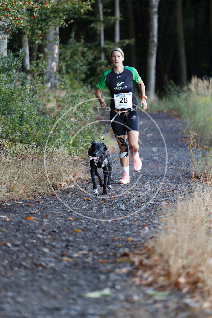 0L8A1524 | Hundefotografie, Tierfotograf, Pfotenfotografie, Fotoshooting Hund, Hunde Portrait, Hundesport, Hundeportraits, Heideshooting, Hunde, Sportfotograf, Hundefotograf, Turnierhundsport, THS,  - Realisiert mit Pictrs.com