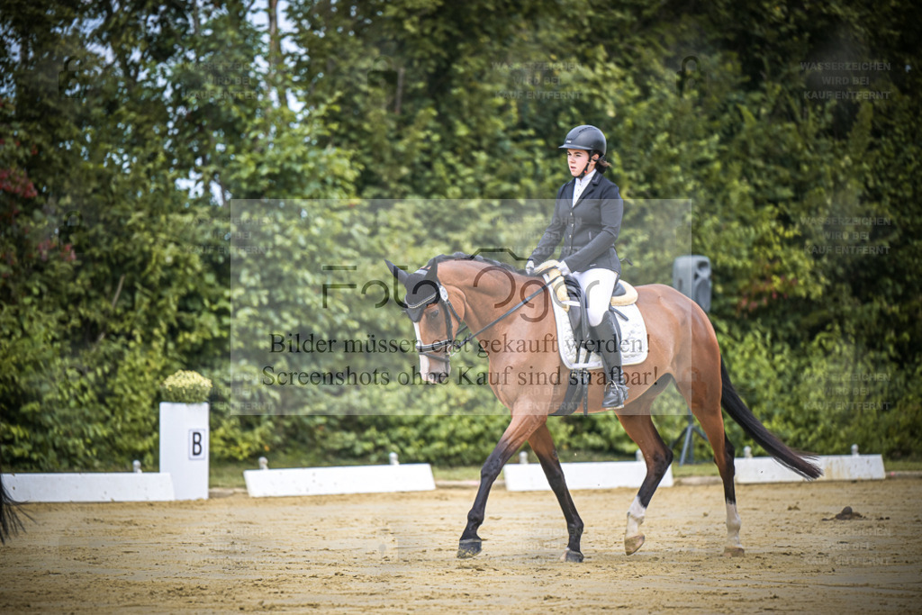 DOS_1266 | Entdecke hochwertige Reitturnierfotos von Foto Oger. Professionell, emotional und authentisch – jetzt Lieblingsmomente im Shop bestellen. - Realisiert mit Pictrs.com