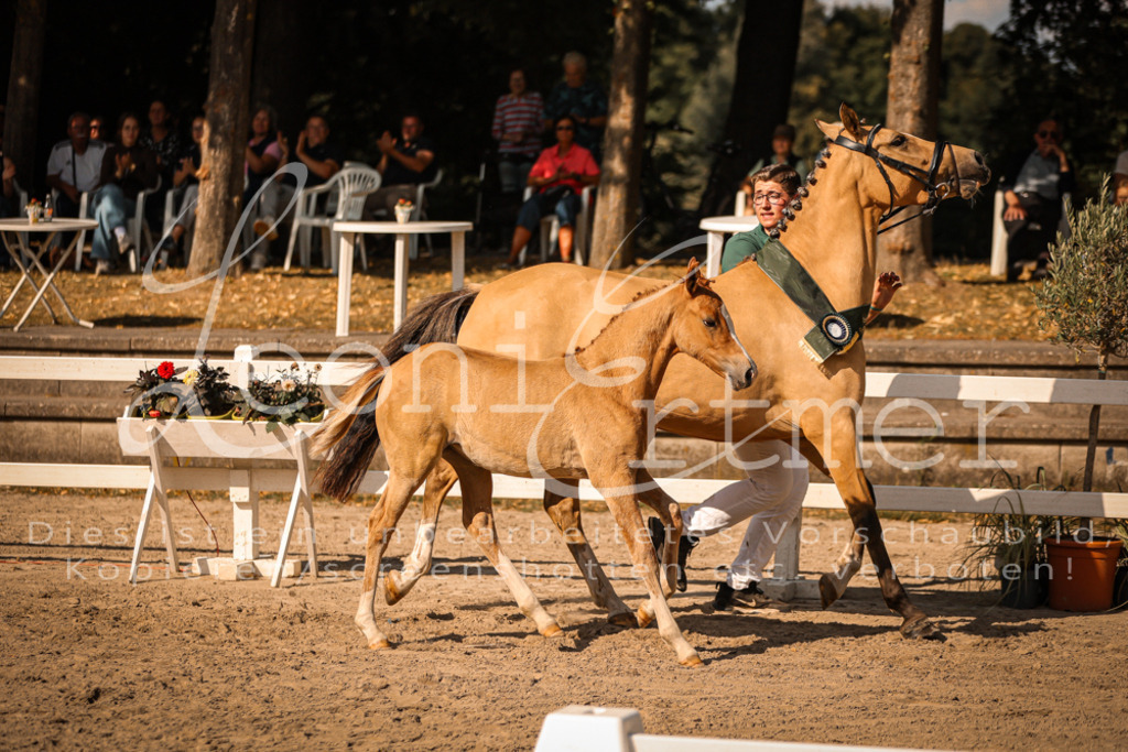 10.DoRP00249 | Leoni Ertmer Photography - Realisiert mit Pictrs.com