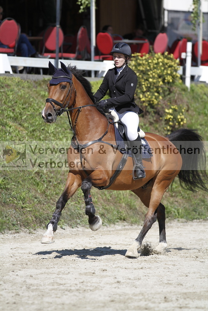 _MG_4405 | equestrian-live-com