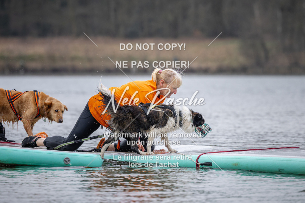 nelerasche_Hulsbeek_Sa1600-1700_194 | nelerasche