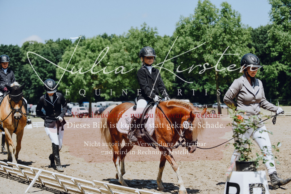 DSC_2236 | Pferde- und Turnierfotografie in Westsachsen. Pferdeportraits, Auftragszeichnungen und intuitive Kunst.