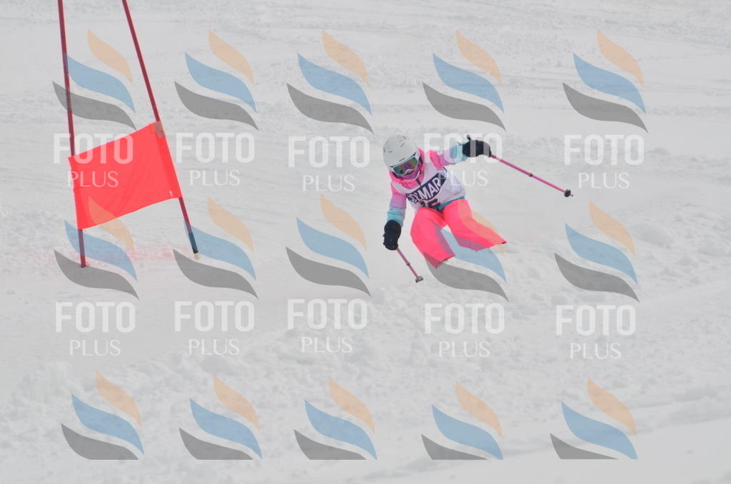 A5123 | holidayphoto