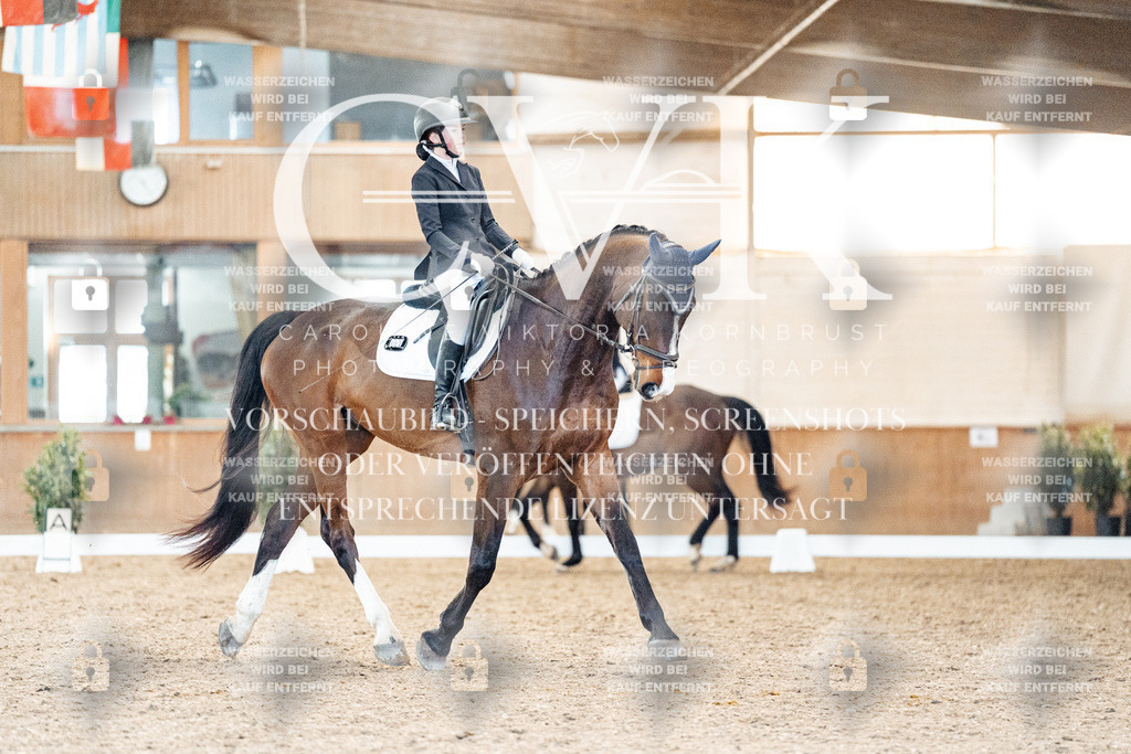 CK908452 | Turnierfotografie Pferdefotografie Trier Rheinland-Pfalz Pferdesport Reitsport Tierfotografie Sportfotografie Pferdevideo Pferdevideografie Equestrianvideography equestrianphotography  - Realized with Pictrs.com