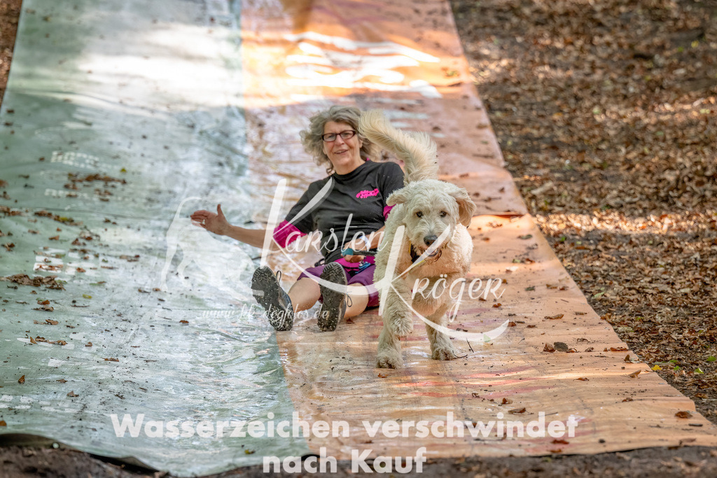 1221_ZZ94246-Bearbeitet | kk-dogfotos