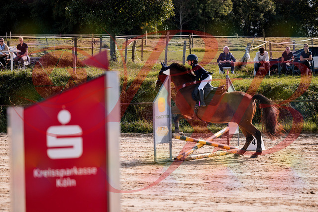 2026_10_03_Siefer-Hof_143811_Z81_08062883 | Professionelle Reitsport-, Turnier- und Eventfotografie von Robert Broda. Galerien mit ausgewählten und bearbeiteten Bildern direkt online ansehen und bestellen.