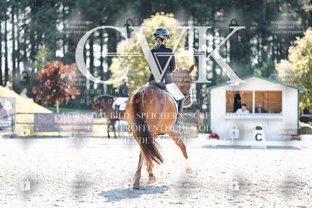 CK906009 | Turnierfotografie Pferdefotografie Trier Rheinland-Pfalz Pferdesport Reitsport Tierfotografie Sportfotografie Pferdevideo Pferdevideografie Equestrianvideography equestrianphotography  - Realisiert mit Pictrs.com
